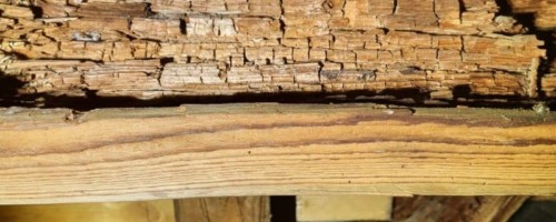 Audit / Avis technique